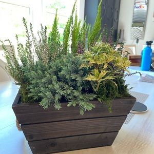 Meet your Posher, Claudia